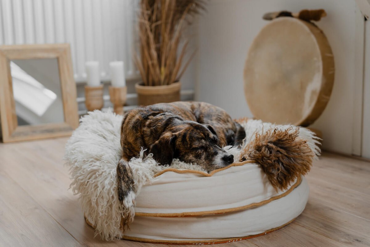 Over Mij Betrouwbaar Medium Reiki Energy Praktijk Aurora